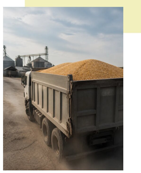 Перевозка сельхозпродукции навалом в Казань по цене от 3185 р. | Агросервис-Кзн