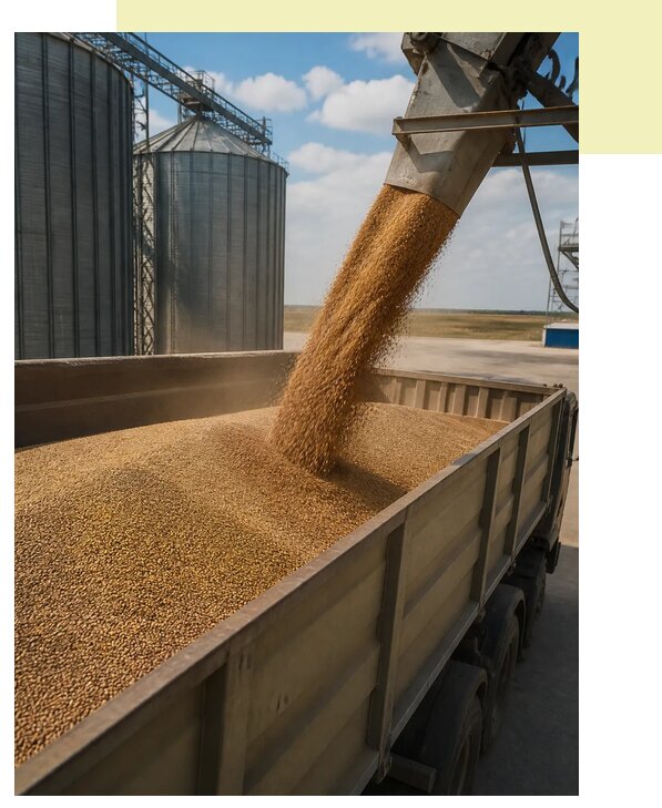 Перевозка зерна навалом в Казань по цене от 2654 р. | Агросервис-Кзн