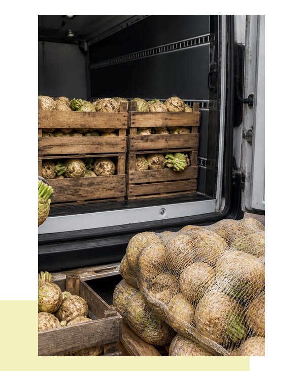 Доставка и перевозка корневого сельдерея оптом в Казань